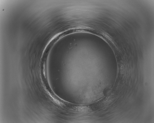 X0000058781024200510071603