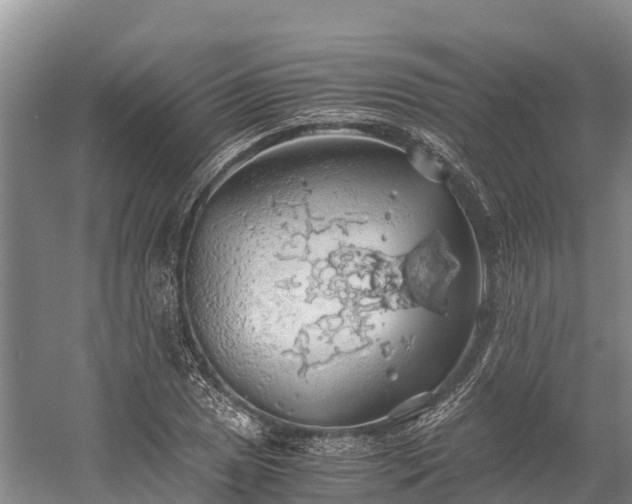 X0000058781025200510071603