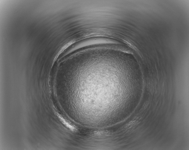 X0000058781026200510071603