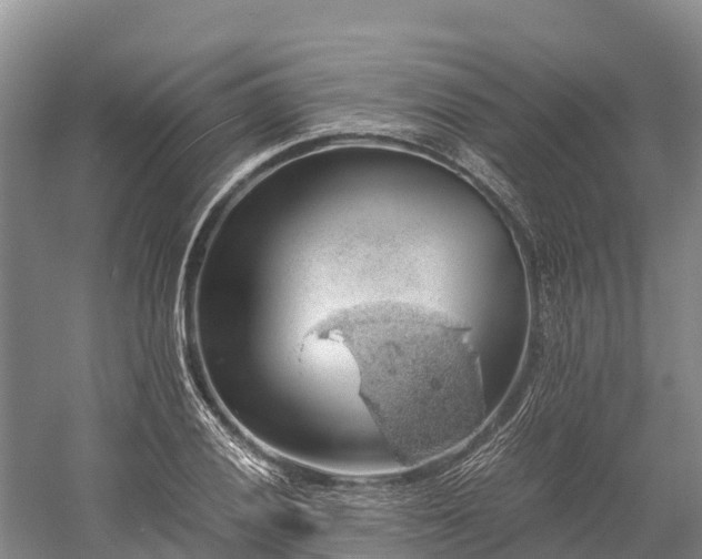 X0000058781028200510071603