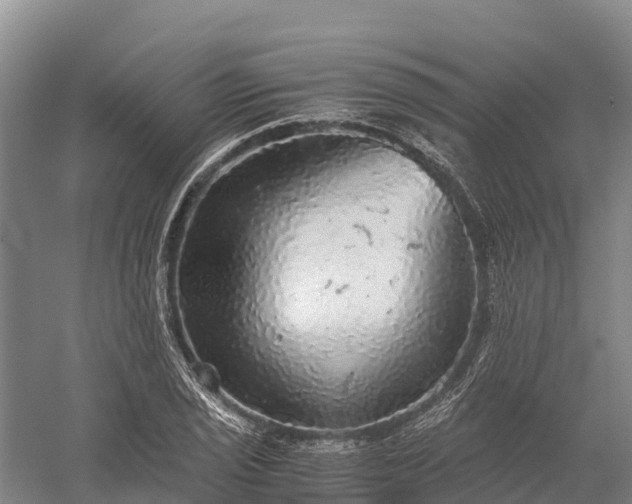 X0000058781029200510071603