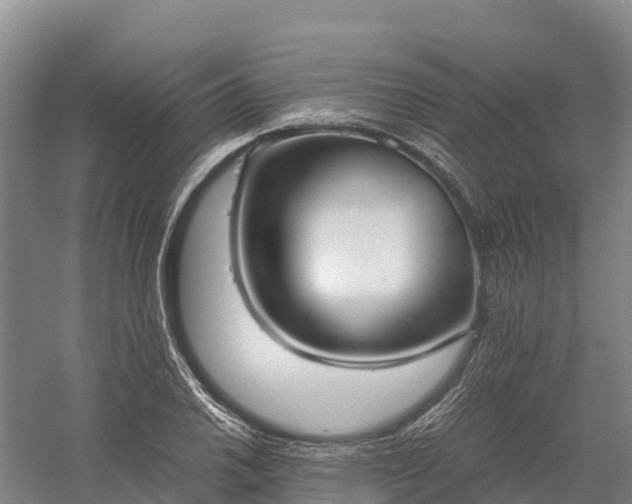 X0000058781030200510071603