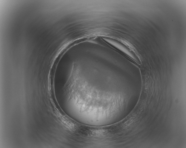 X0000058781031200510071603