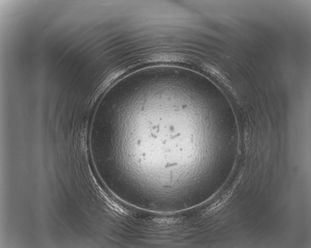 X0000058781033200510071603