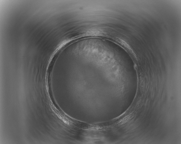 X0000058781035200510071603