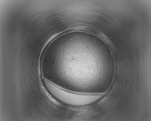 X0000058781036200510071603