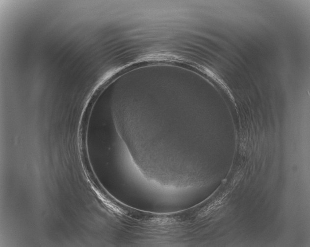 X0000058781037200510071603