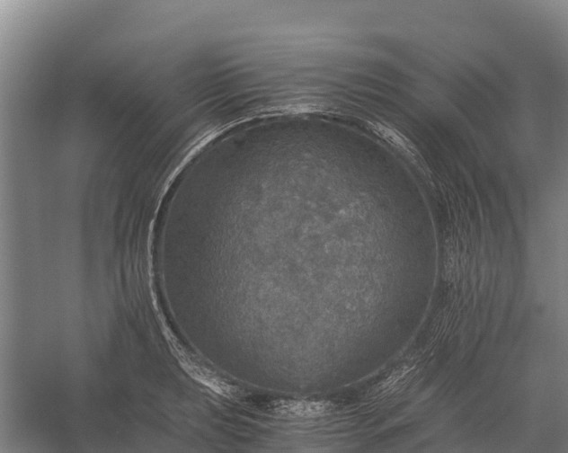 X0000058781039200510071603