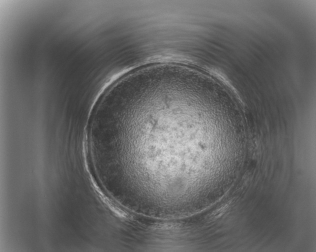 X0000058781040200510071603