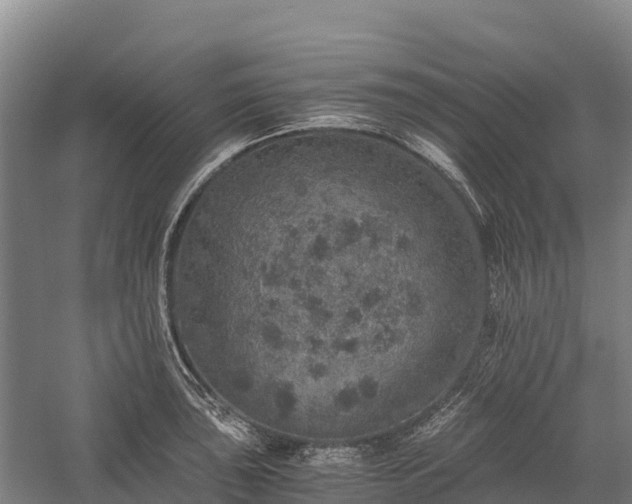 X0000058781043200510071603