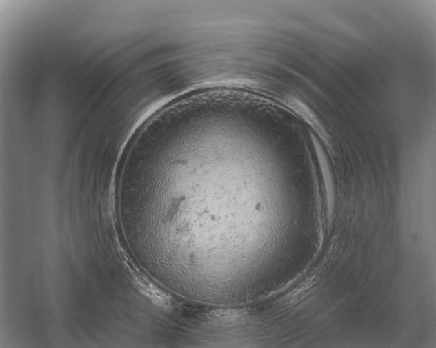 X0000058781044200510071603