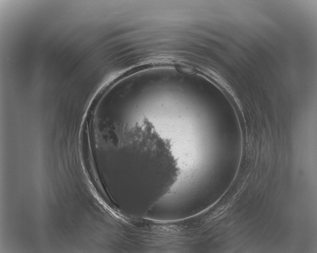 X0000058781045200510071603