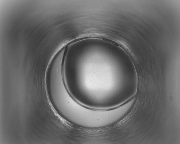 X0000058781046200510071603