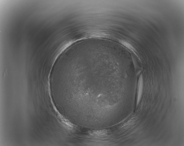 X0000058781047200510071603