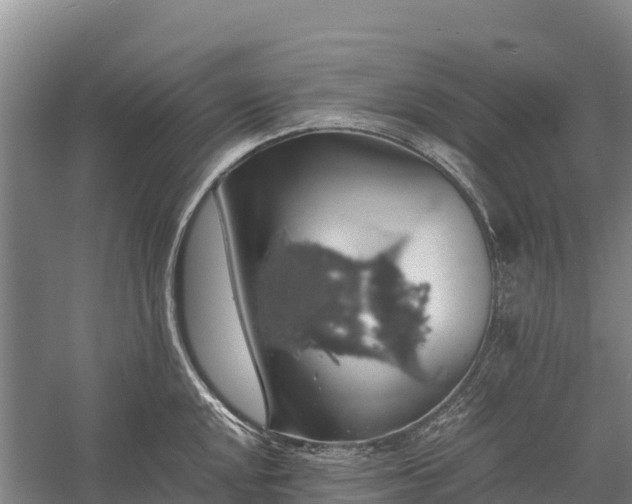 X0000058781048200510071604