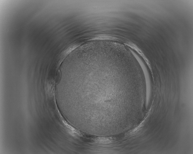 X0000058781049200510071604