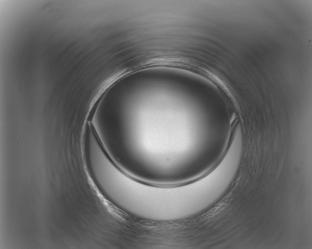 X0000058781050200510071604