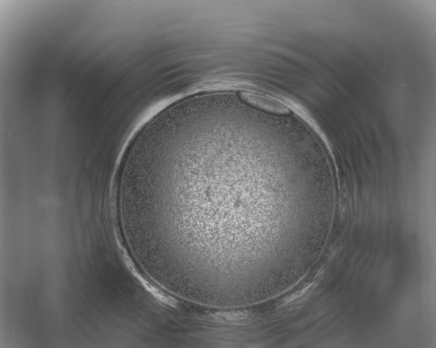 X0000058781053200510071604