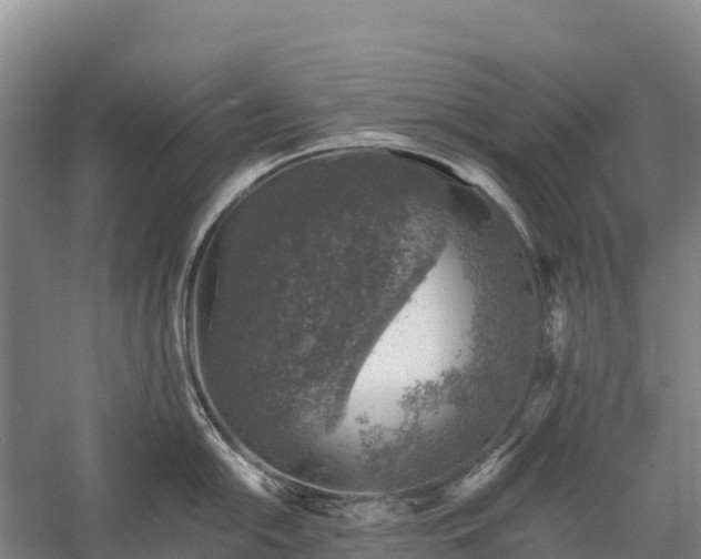 X0000058781054200510071604