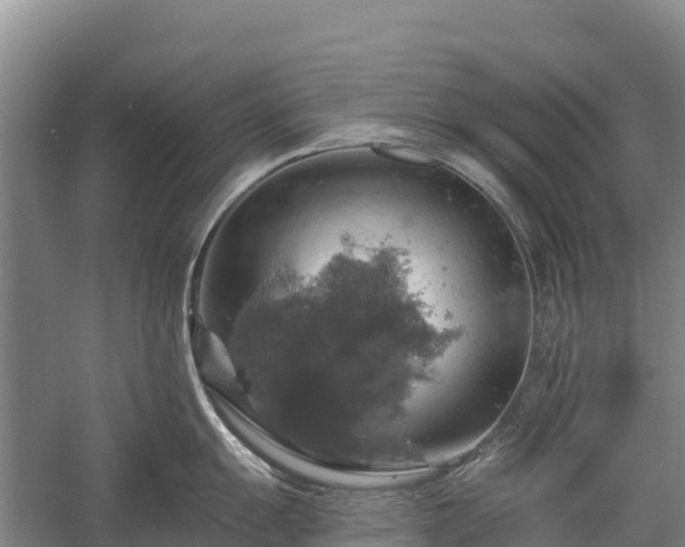 X0000058781055200510071604