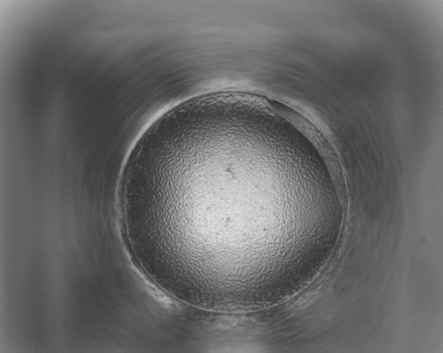 X0000058781056200510071604