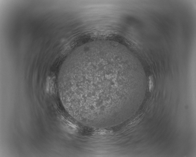 X0000058781059200510071603