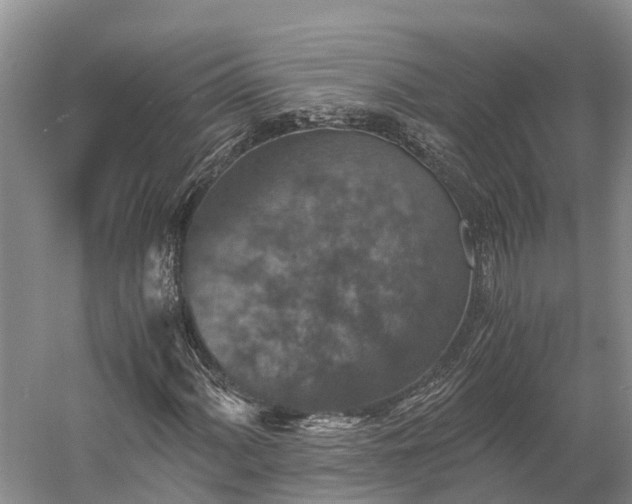 X0000058781060200510071603