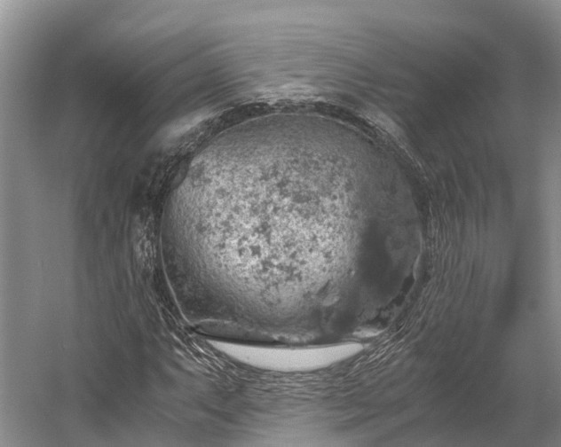 X0000058781063200510071603