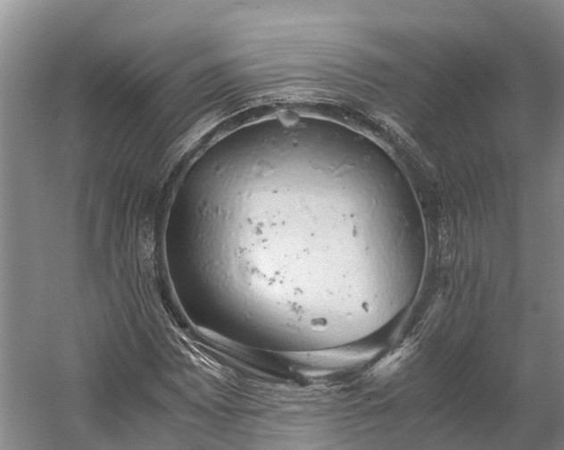 X0000058781065200510071603