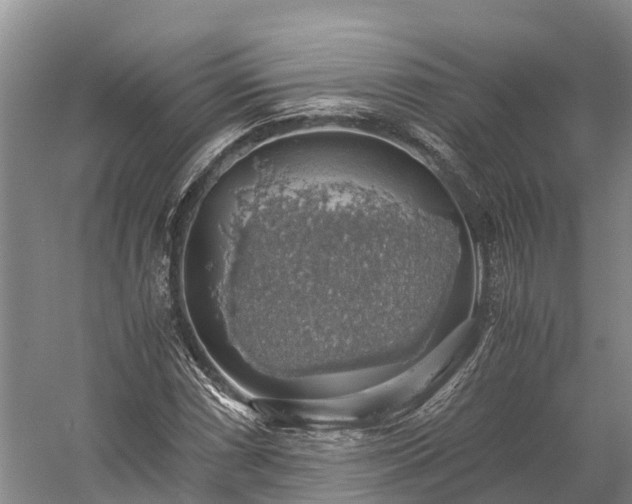 X0000058781066200510071603