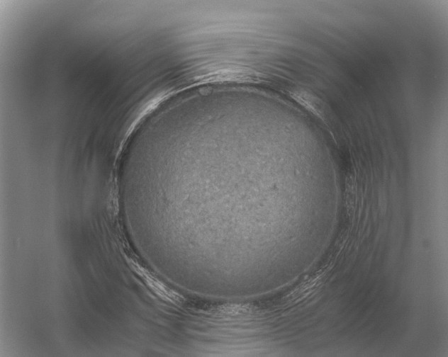 X0000058781067200510071603