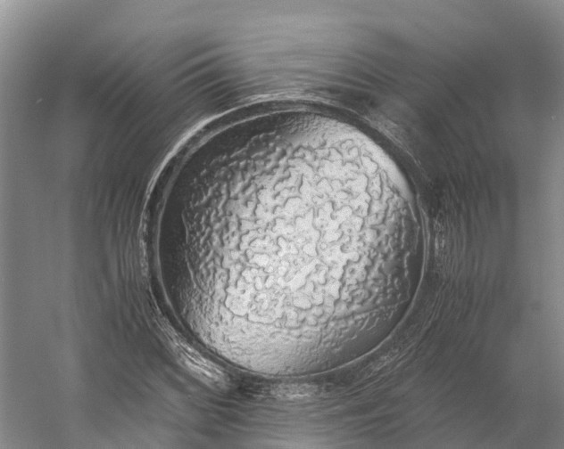 X0000058781068200510071603