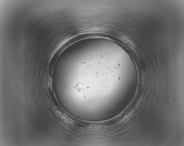 X0000058781069200510071603