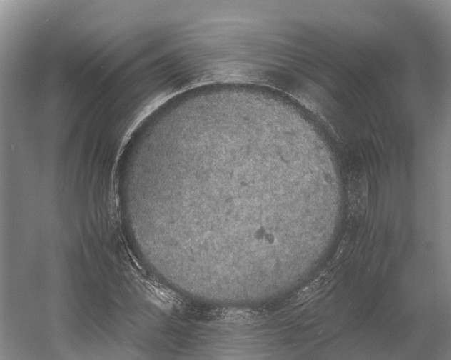 X0000058781070200510071603