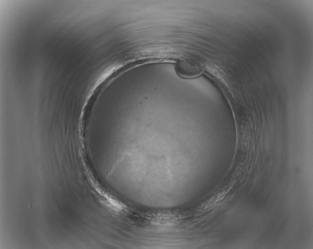 X0000058781071200510071603