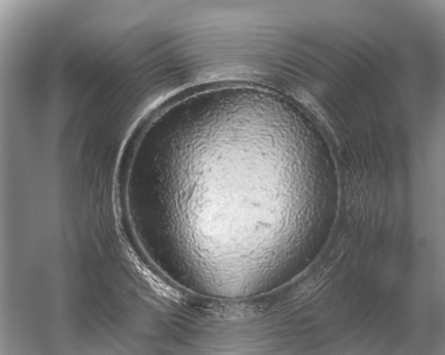 X0000058781072200510071603