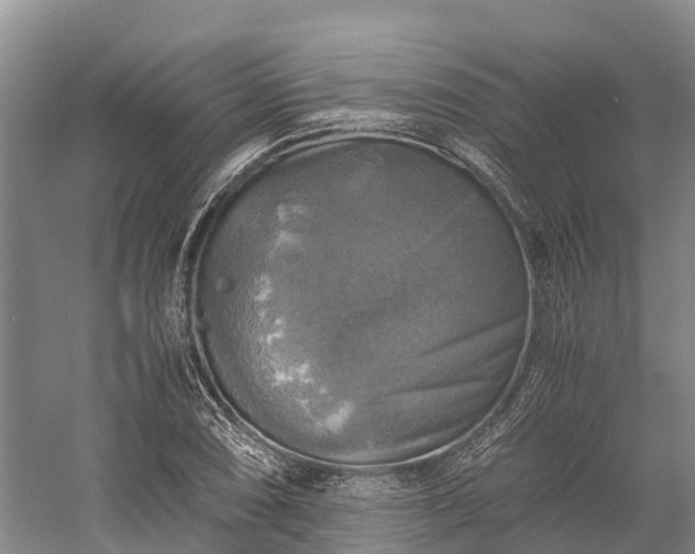 X0000058781074200510071603