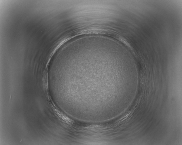 X0000058781075200510071603