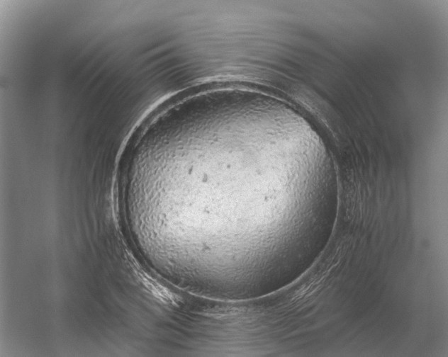 X0000058781076200510071603