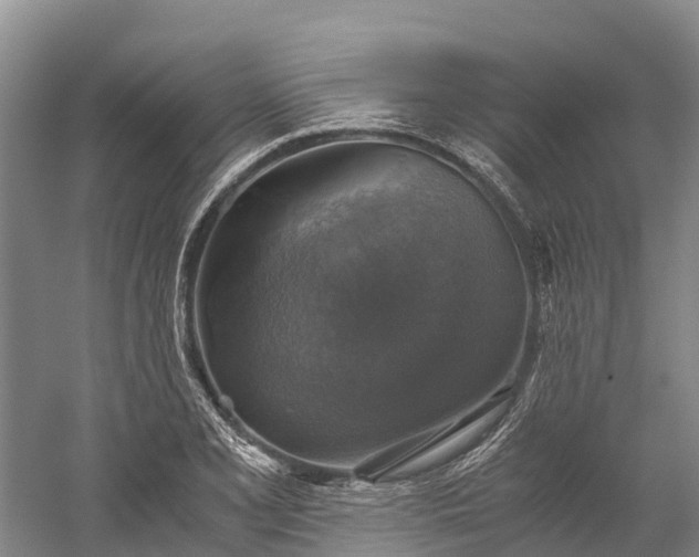 X0000058781077200510071602