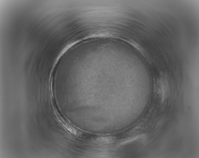 X0000058781078200510071602