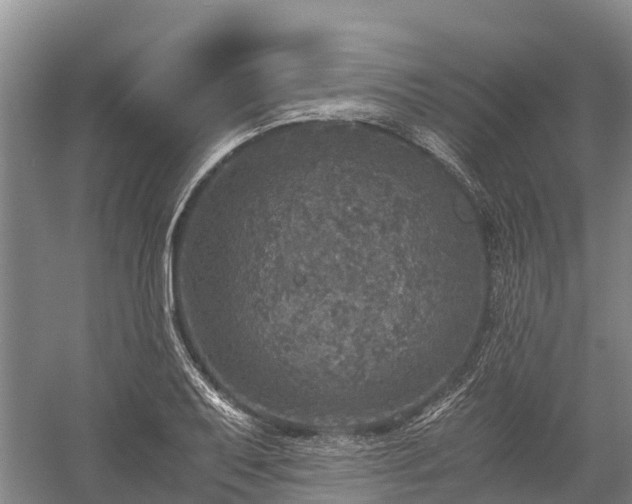 X0000058781079200510071602