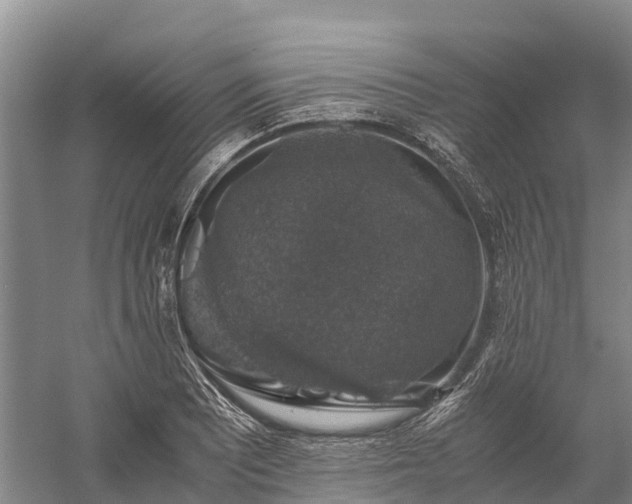 X0000058781081200510071602