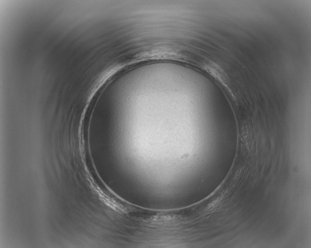 X0000058781082200510071602