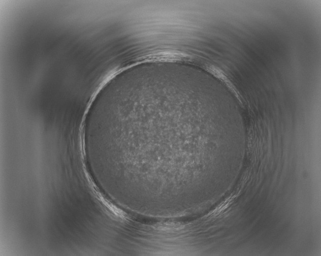 X0000058781083200510071602