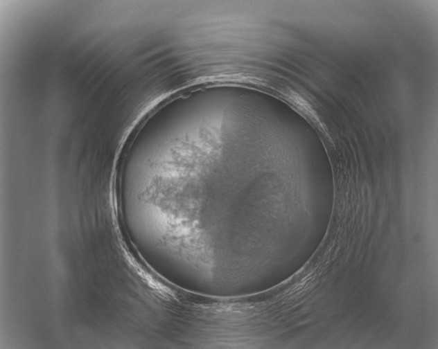 X0000058781084200510071602