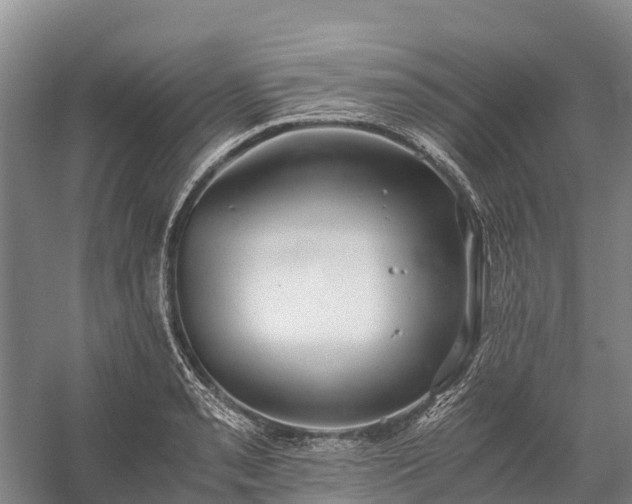 X0000058781085200510071602