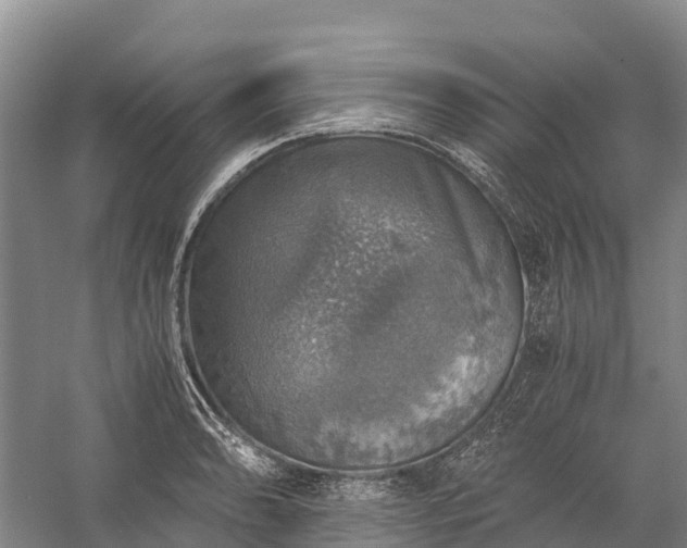 X0000058781086200510071602