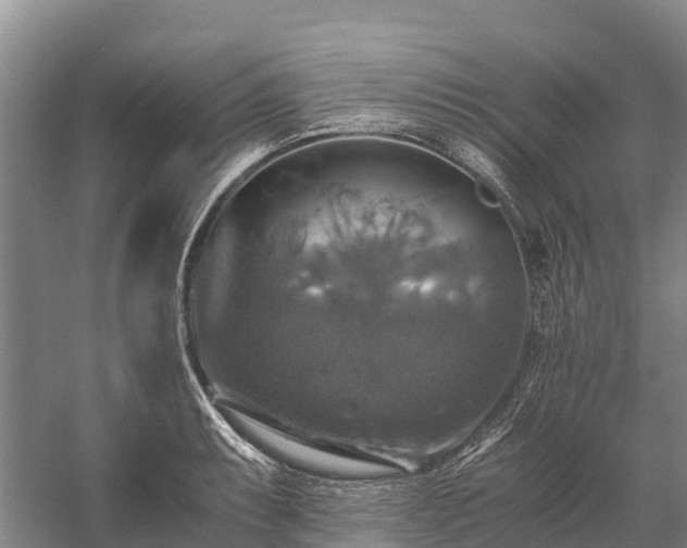 X0000058781087200510071602