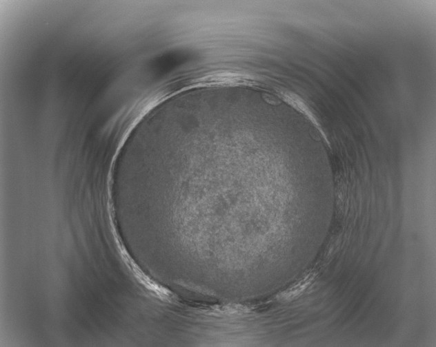 X0000058781091200510071602